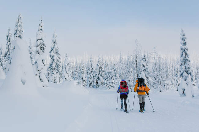Two friends snowshoe with backpacks and trekking poles at sunrise — Stock Photo