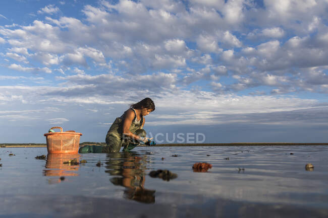 Junge Frau pflückt Austern, Meeresfrüchte — Stockfoto