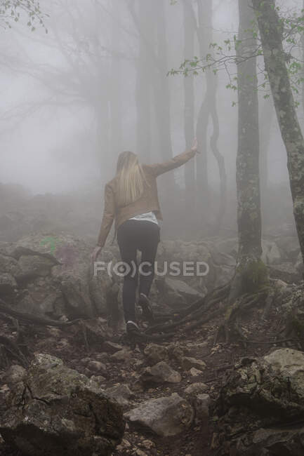 Woman climbs a mountain forest path in the fog — Stock Photo