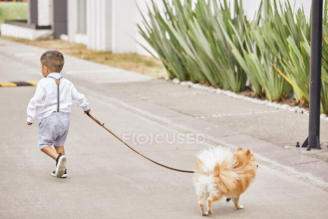 Vista trasera pequeño niño caminando en la calle con su perro - foto de stock