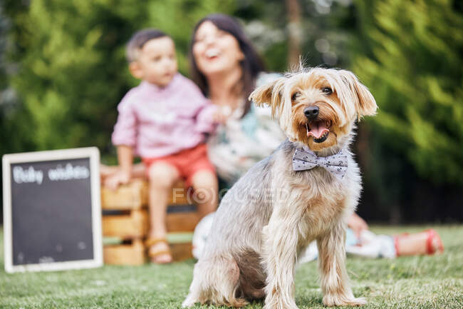 Mãe e filho no parque desfrutando da companhia de seu cachorrinho — Fotografia de Stock