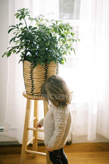 Petite fille debout près d'une fenêtre lumineuse ensoleillée avec une grande plante d'intérieur — Photo de stock