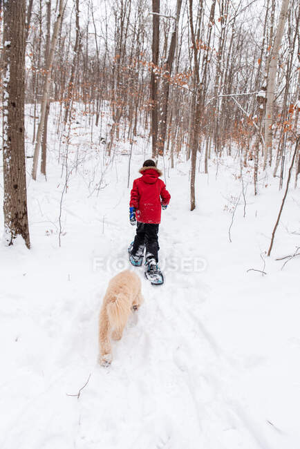 Young boy snowshoeing with dog in the woods on a snowy winter day. — Stock Photo