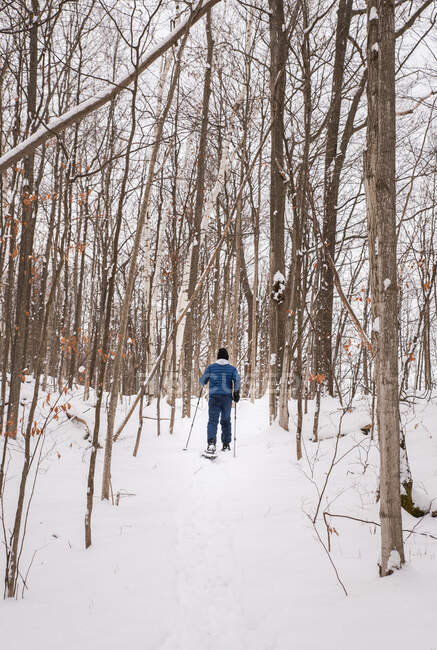 Adolescente niño raquetas de nieve solo en el bosque en un día de invierno nevado. - foto de stock