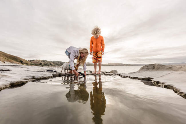 Siblings and dog peering in rock pool in New Zealand — Stock Photo