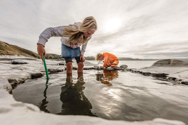 Two children exploring rock pools together in New Zealand — Stock Photo
