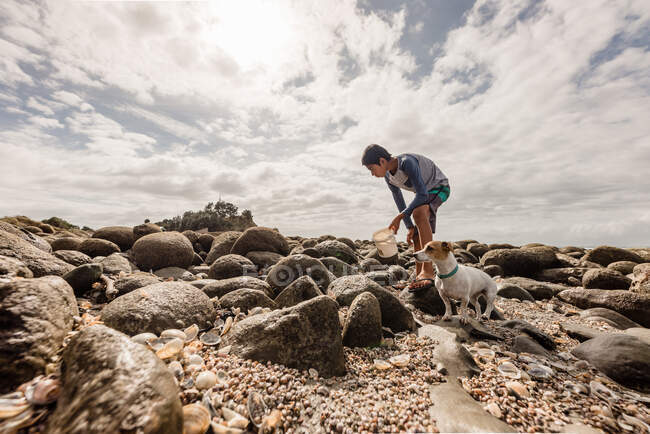 Junge sucht mit Hund Muscheln an neuseeländischer Küste — Stockfoto