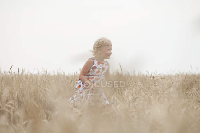 Uma menina corre através de um campo em um dia ensolarado no verão — Fotografia de Stock