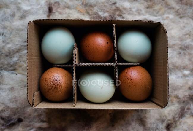 Duck egg and brown coloured eggs in a cardboard recyclable box — Stock Photo