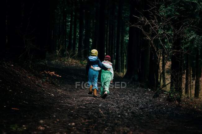 Niños caminando con sus brazos uno alrededor del otro en el bosque oscuro - foto de stock