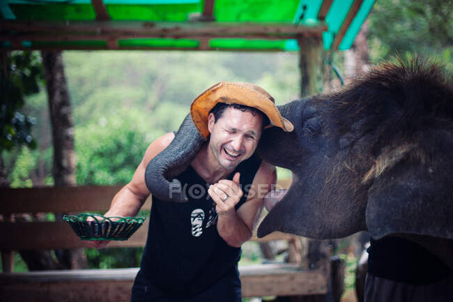 Elefante besando a un hombre mientras estaba siendo alimentado en Tailandia. - foto de stock