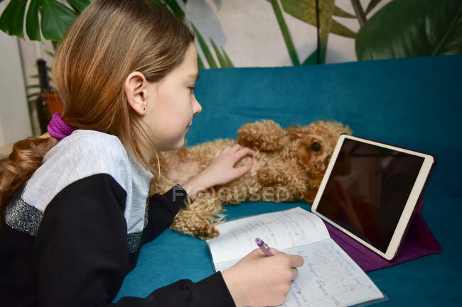 The dog distracts the girl from the distance learning lessons — Stock Photo
