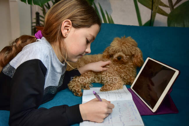 Девочка с собакой занимается дистанционным обучением — стоковое фото