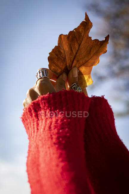 Une femme tenant une feuille en session d'automne avec des anneaux dans les mains. — Photo de stock