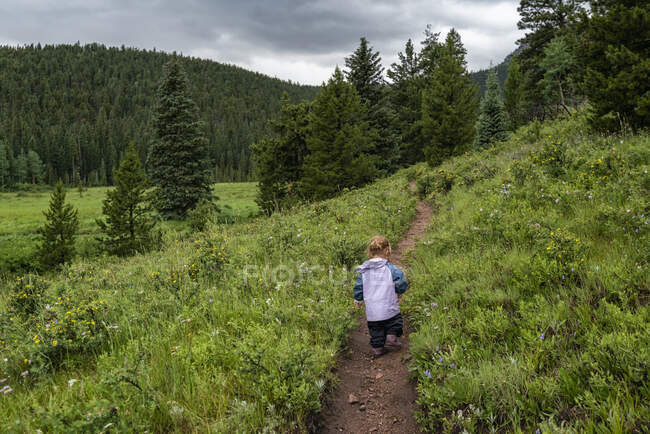 Menina caminhando em uma trilha nas montanhas, Colorado — Fotografia de Stock