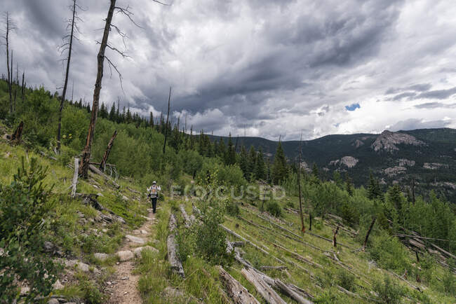 Hiking along Bear Tracks Lake Trail, Colorado — Stock Photo