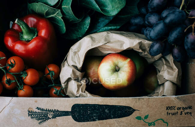 Frutas y verduras orgánicas frescas en una caja reciclable recién recogida - foto de stock