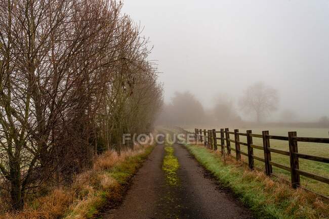 Mattinata nebbiosa in una fattoria nella campagna inglese con alberi di prime linee — Foto stock