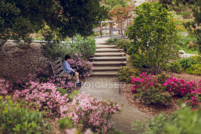 Cute boy sitting in park with beautiful flowers — Stock Photo