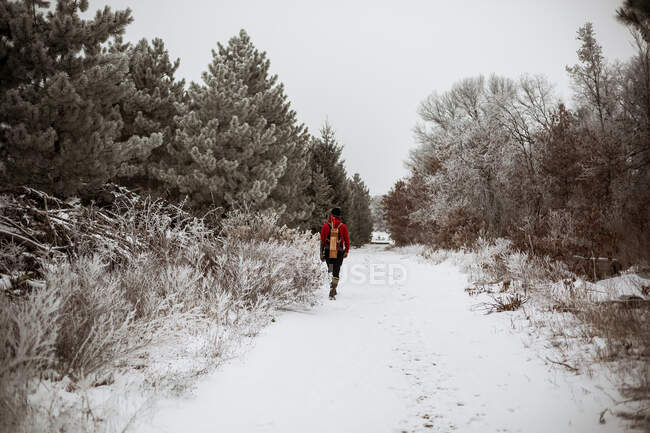 Adolescente chico caminando lejos en un nevado invierno Wisconsin carretera - foto de stock