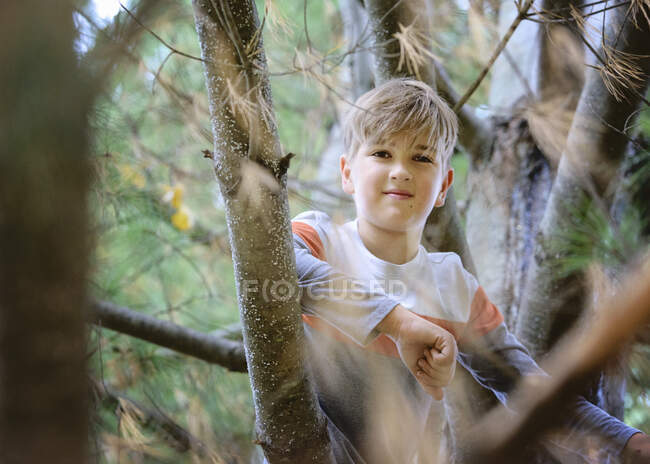 Щасливий молодий блондинка сидить на сосновому дереві . — стокове фото