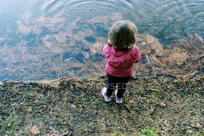 Little girl standing at the shore of a lake with pine needles in water — Stock Photo