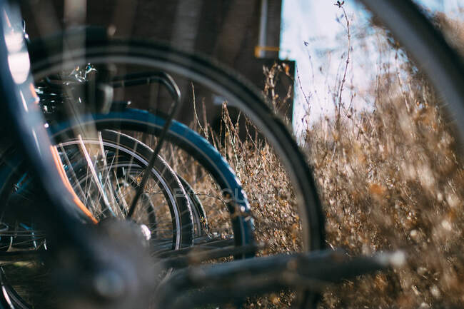 Focus selettivo bicicletta weels di fila — Foto stock