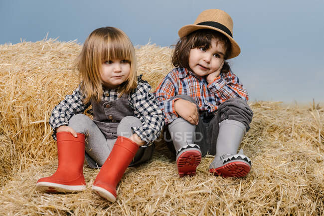 Милые маленькие девочки на стоге сена — стоковое фото