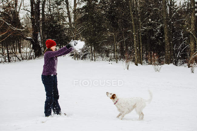 Menina jogando na neve com seu cão no sul de Michigan — Fotografia de Stock