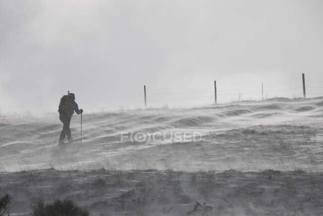 Un hombre camina por los campos y las montañas - foto de stock