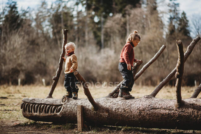 Hermanos caminando sobre un tronco esculpido en el bosque en un día soleado de invierno - foto de stock