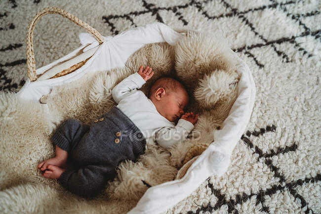 Adorable white newborn baby sleeping in Moses basket with cozy rug — Stock Photo