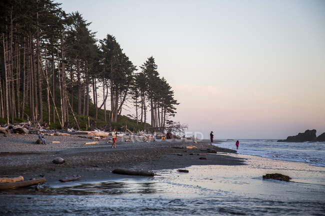 Un punto culminante del Parco Nazionale Olimpico è Ruby Beach. I turisti apprezzano la costa frastagliata e l'acqua fredda. — Foto stock
