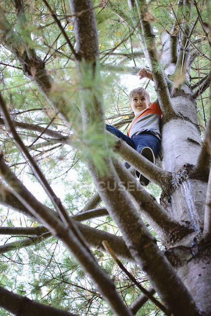 Щасливий молодий блондин, що стоїть на сосновому дереві . — стокове фото