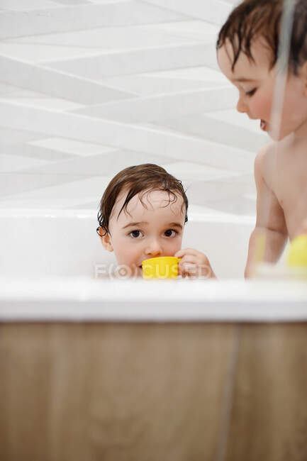 Милі хлопчики-близнюки приймають ванну, один дивиться прямо в камеру — стокове фото