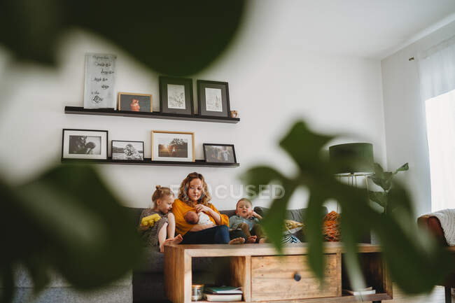 Широкий обзор уютной гостиной с растениями мамы и детей на диване — стоковое фото