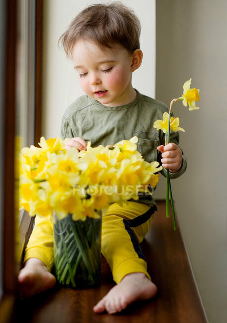 Retrato de bebê bonito organizando flores narciso primavera amarela — Fotografia de Stock