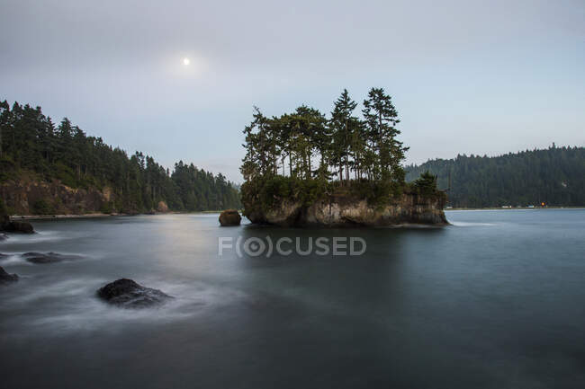 Aire de loisirs de Salt Creek sur la péninsule olympique à Washington la nuit sous une pleine lune. — Photo de stock