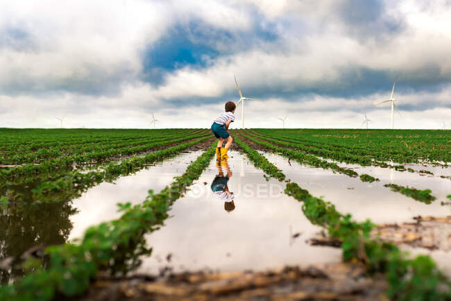 A boy squatting to look at flood waters in a soybean field wind farm — Stock Photo