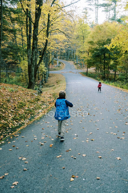 Восени двоє дітей гуляють лісовим парком у центральній частині штату Массачусетс. — стокове фото
