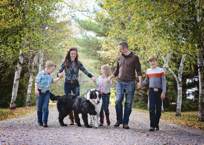 Familia feliz de cinco con perros caminando por un camino rural. - foto de stock