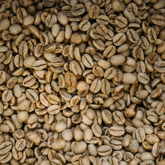 Жареные кофейные зерна на рынке — стоковое фото