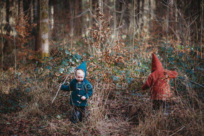 Дети ходят в лесах в шерстяных куртках в зимний день — стоковое фото