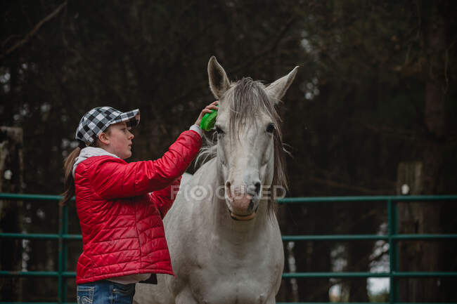 Девочка-подросток чистит свою белую и серую лошадь — стоковое фото