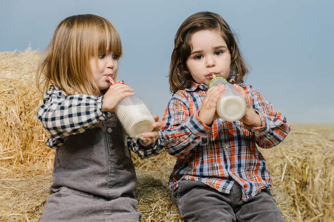 Милые маленькие девочки на стоге сена с молоком — стоковое фото