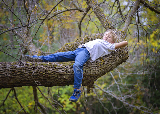 Молодий блондинка тихо лежить на гілці дерева.. — стокове фото