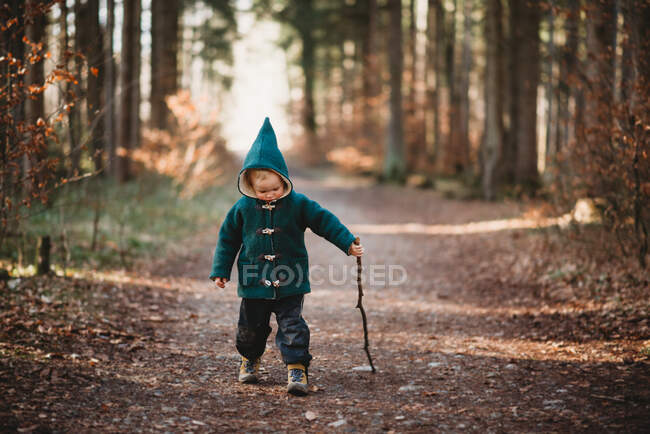 Маленький ребенок ходит с палкой в лесу солнечным осенним днем — стоковое фото