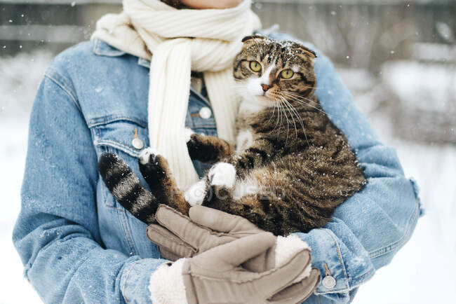Hermosa joven sosteniendo gato - foto de stock