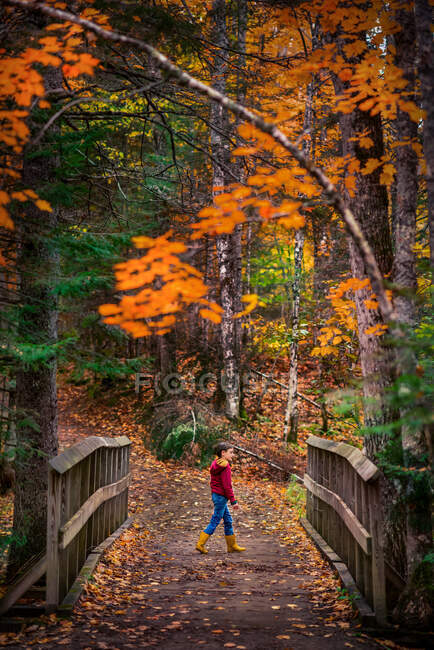 Menino andando na trilha de sujeira na floresta em um parque durante o outono — Fotografia de Stock