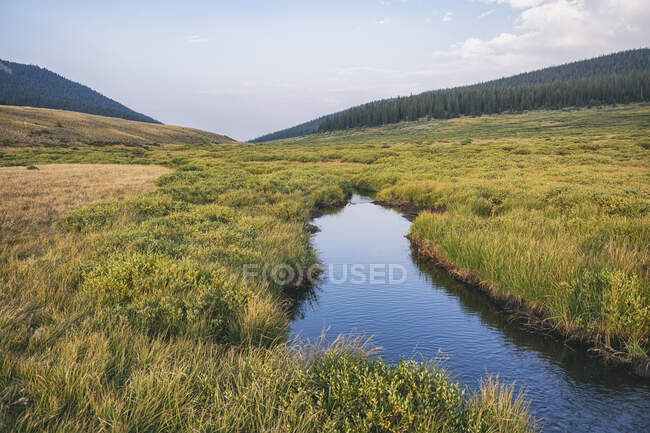 Hermoso río en las montañas - foto de stock